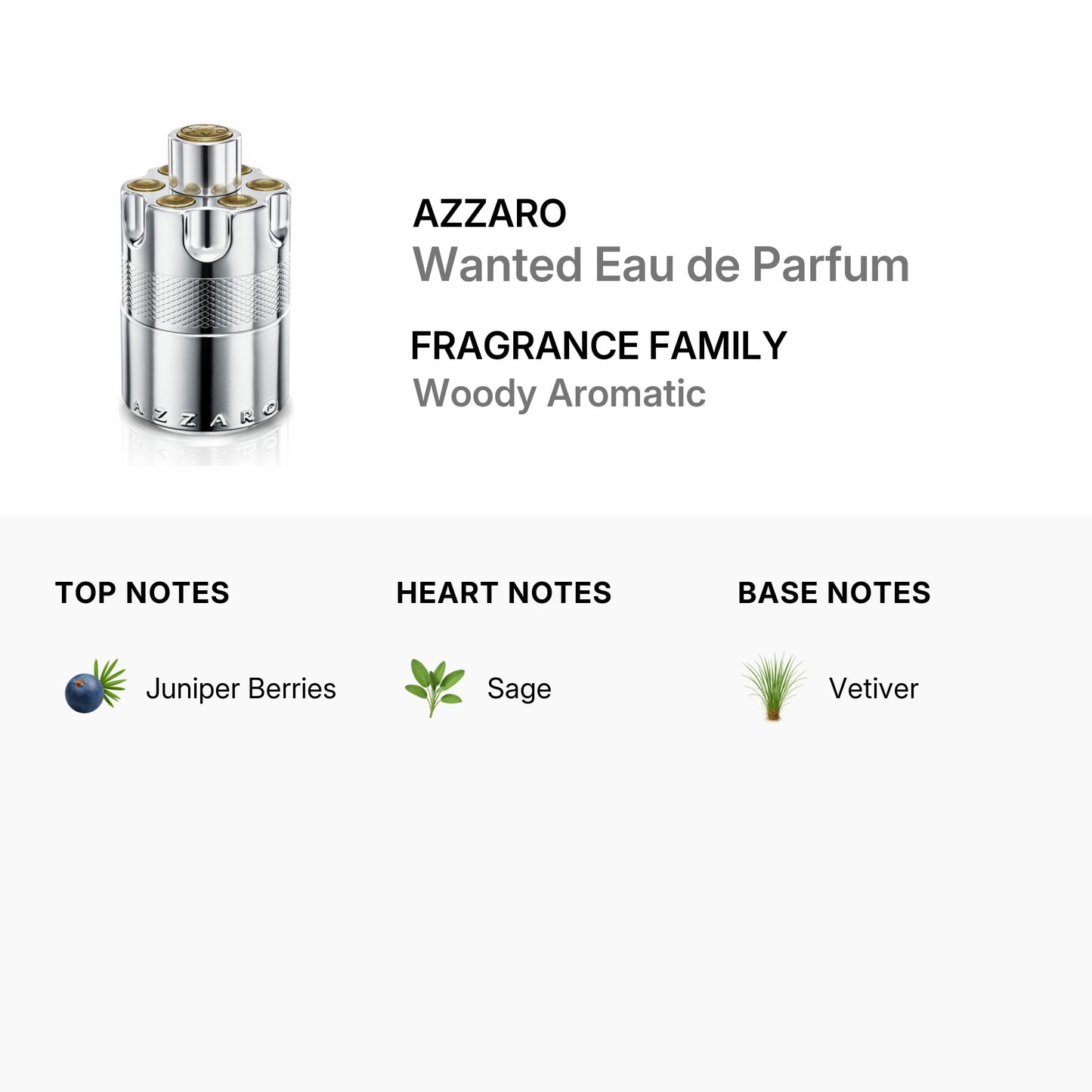 Azzaro Men's Wanted Eau de Parfum EDP 3.4 oz Fragrances Item No. 3614273903172