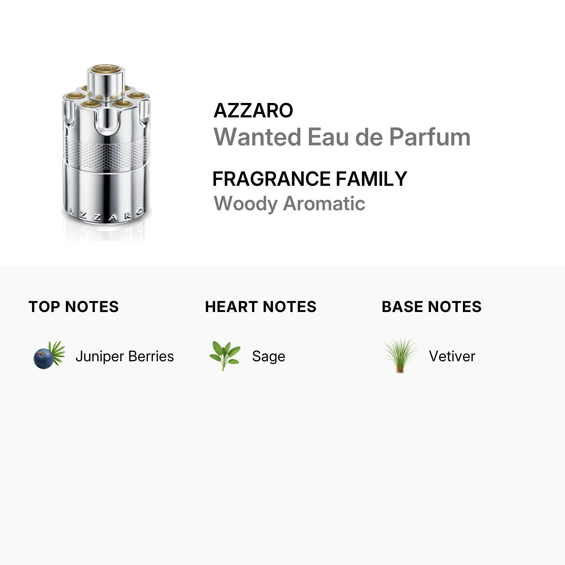 Azzaro Men's Wanted Eau de Parfum EDP 3.4 oz Fragrances Item No. 3614273903172